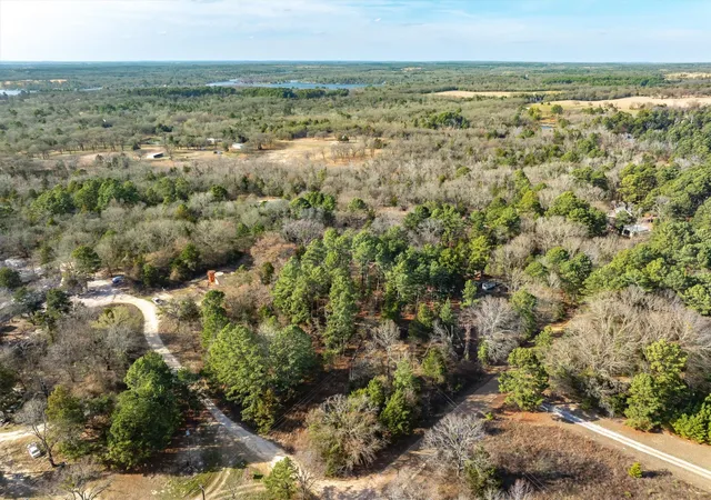 Homes for sale in Brownsboro, TX | Tbd County Road 3520, Brownsboro, TX 75756 | MLS# 21183938