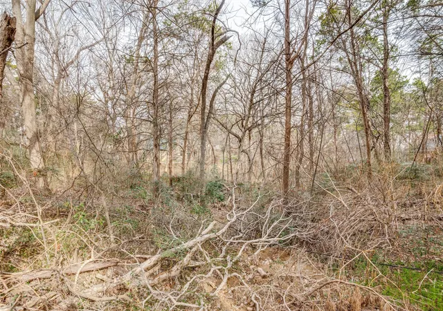 Photo 3 of Land for sale at 807 Laurel Hills Ct, Cedar Hill, TX 75104 | MLS# 21182324 | Listing updated on 2026-07-13