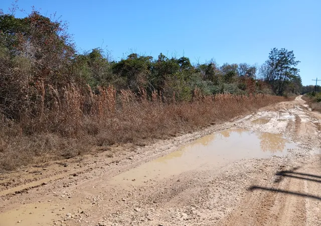 Photo 2 of Land for sale at 15052 Fm 770, Saratoga, TX 77585 | MLS# 21185370 | Listing updated on 2026-08-24
