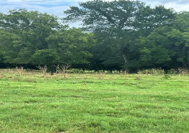 Photo 1 of Land for sale at Tbd Abel Ln, Boyd, TX 76023 | MLS# 21185729 | Listing updated on 2026-08-18