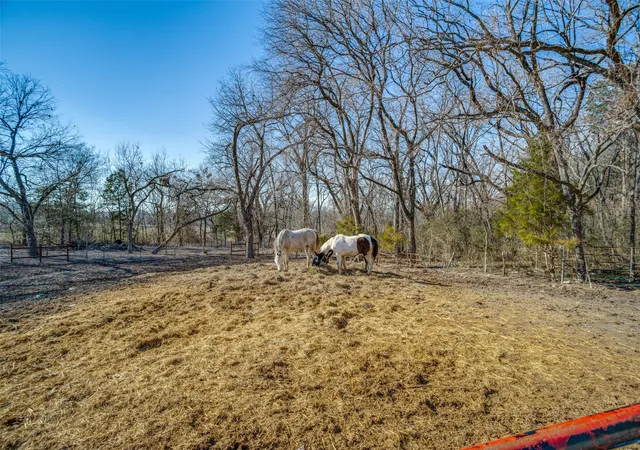 Photo 1 of Land for sale at 2111 Private Road 5499, Mc Kinney, TX 75071 | MLS# 21182779 | Listing updated on 2026-08-21