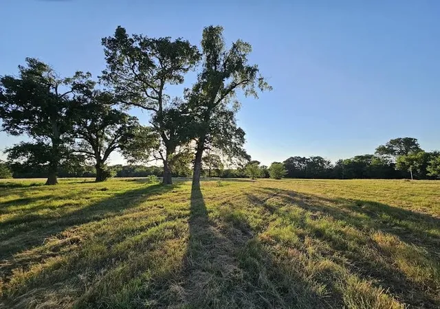 Homes for sale in Dike, TX | Tbd County Road 3512, Dike, TX 75437 | MLS# 21186057