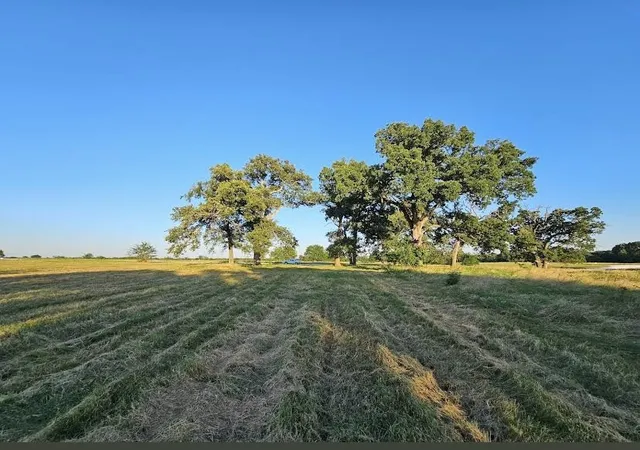 Homes for sale in Dike, TX | Tbd County Road 3512, Dike, TX 75437 | MLS# 21186057