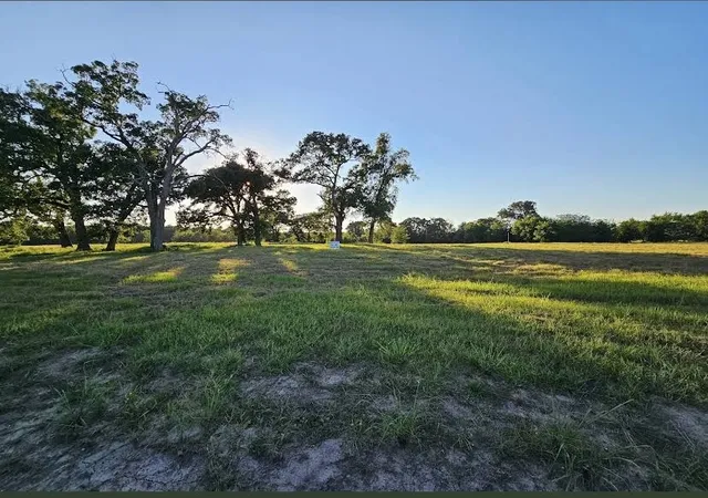Homes for sale in Dike, TX | Tbd County Road 3512, Dike, TX 75437 | MLS# 21186057