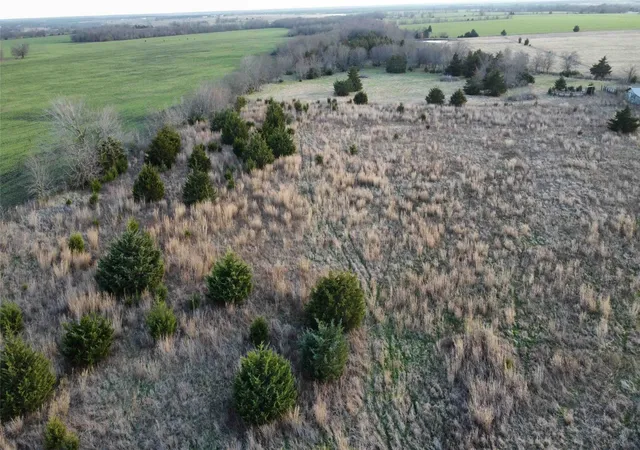 Homes for sale in Honey Grove, TX | Tbd Lot 7 County Road 3425, Honey Grove, TX 75446 | MLS# 21186248