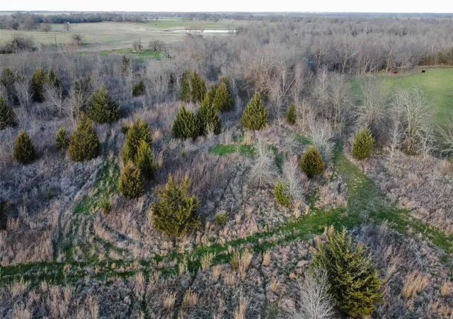 Homes for sale in Honey Grove, TX | Tbd Lot 7 County Road 3425, Honey Grove, TX 75446 | MLS# 21186248