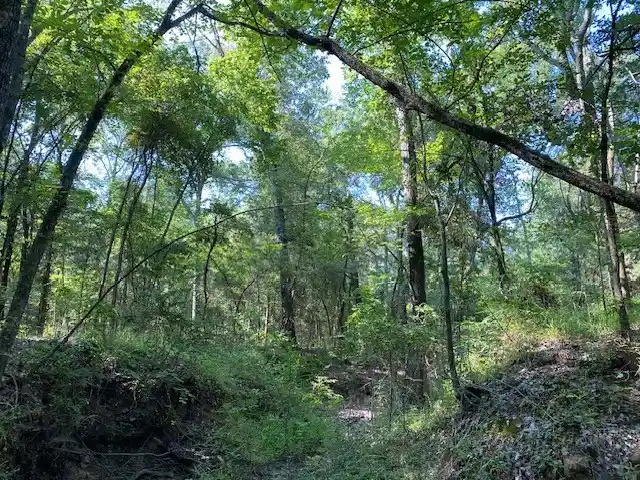 Photo 1 of Land for sale at Tr 4 B Cr 41514, Athens, TX 75751 | MLS# 21186577 | Listing updated on 2026-05-08