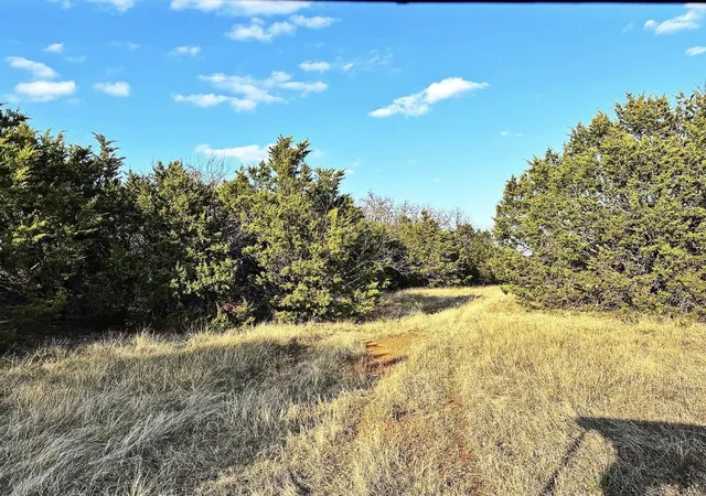 Homes for sale in Mingus, TX | 16061 County Road 107, Mingus, TX 76463 | MLS# 21186697
