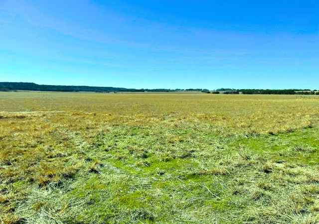 Photo 3 of Land for sale at Tbd Cr 3230, Hico, TX 76457 | MLS# 21183260 | Listing updated on 2026-08-31