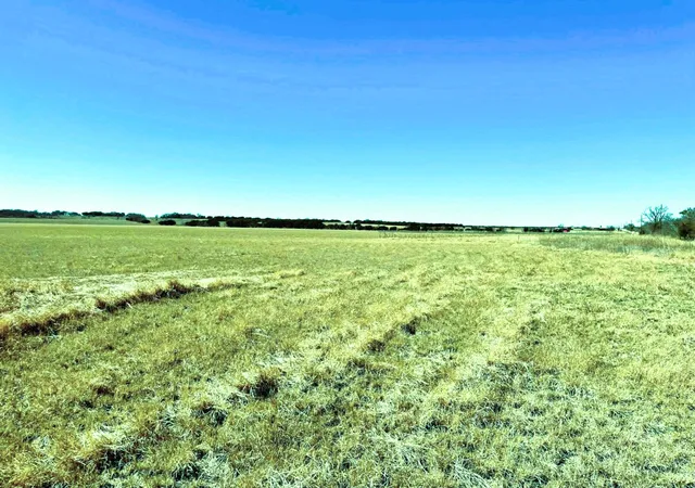 Photo 4 of Land for sale at Tbd Cr 3230, Hico, TX 76457 | MLS# 21183260 | Listing updated on 2026-08-31