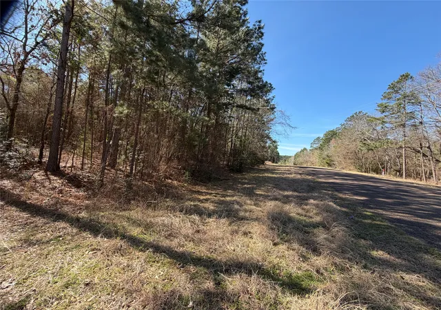 Homes for sale in Jacksonville, TX | 805 County Road 3210, Jacksonville, TX 75766 | MLS# 21187446