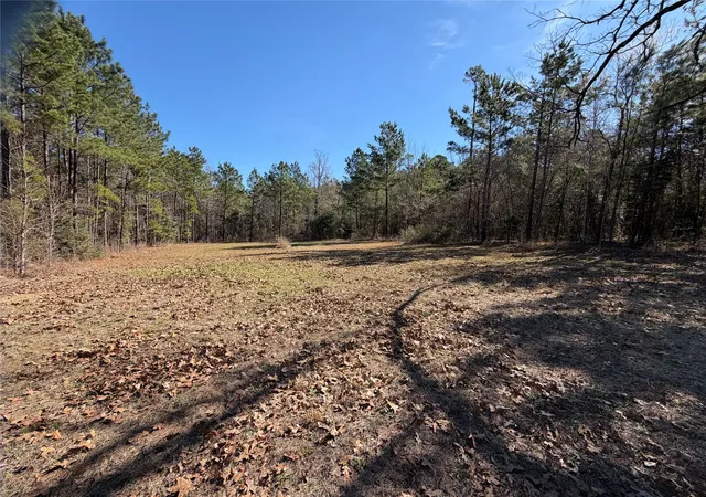 Homes for sale in Jacksonville, TX | 805 County Road 3210, Jacksonville, TX 75766 | MLS# 21187446