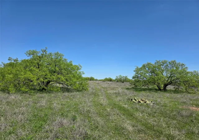 Homes for sale in Voss, TX | 1709 County Road 330, Voss, TX 76888 | MLS# 21187456