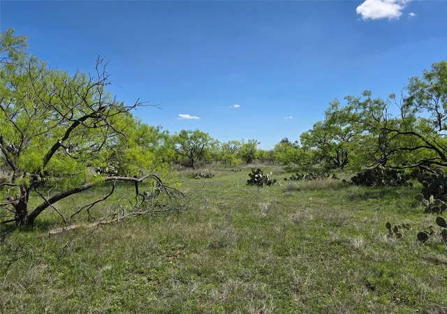 Homes for sale in Voss, TX | 1709 County Road 330, Voss, TX 76888 | MLS# 21187456