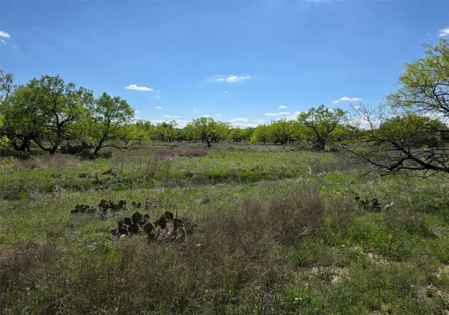 Homes for sale in Voss, TX | 1709 County Road 330, Voss, TX 76888 | MLS# 21187456