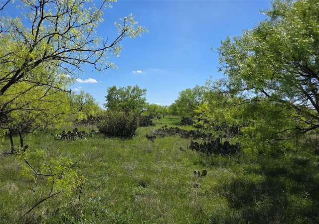 Homes for sale in Voss, TX | 1709 County Road 330, Voss, TX 76888 | MLS# 21187456