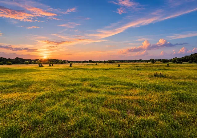 Homes for sale in Jonesboro, TX | Tbd County Road 310, Jonesboro, TX 76538 | MLS# 21188090