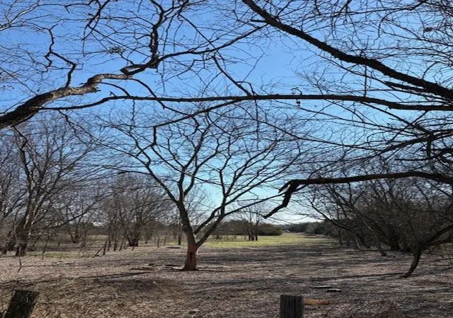 Photo 1 of Land for sale at 000 County Road 4518, Wolfe City, TX 75496 | MLS# 21188430 | Listing updated on 2026-09-06