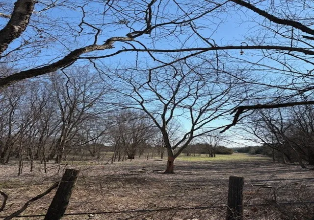 Photo 3 of Land for sale at 000 County Road 4518, Wolfe City, TX 75496 | MLS# 21188430 | Listing updated on 2026-09-06