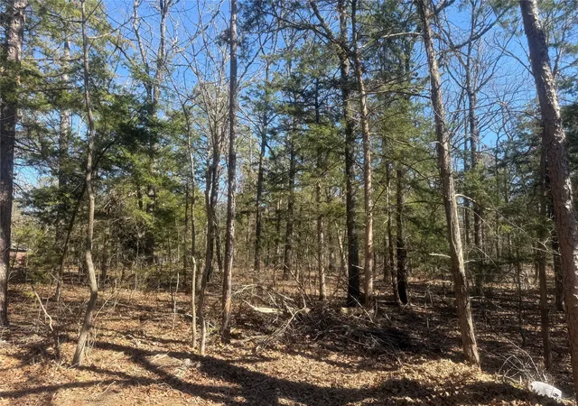 Photo 2 of Sale Pending at 01 Fm 906 W, Powderly, TX 75473 | MLS# 21188861 | Listing updated on 2026-07-09
