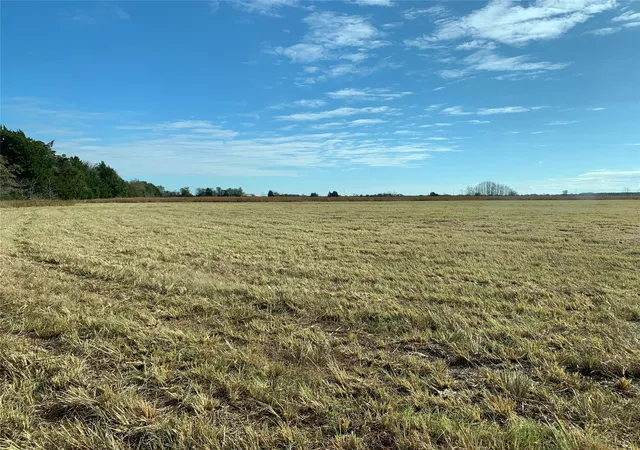 Photo 3 of Land for sale at Tbd Se County Road 4230, Kerens, TX 75144 | MLS# 21178816 | Listing updated on 2026-08-26
