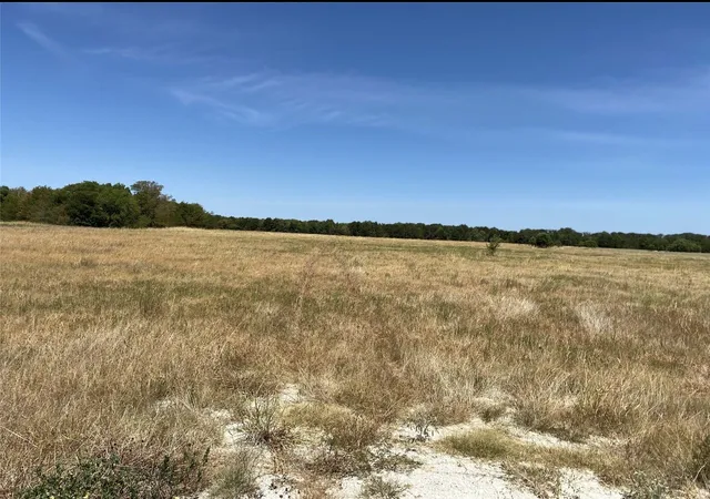 Photo 4 of Land for sale at Tbd Se County Road 4230, Kerens, TX 75144 | MLS# 21178816 | Listing updated on 2026-08-26