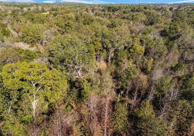 Homes for sale in Chandler, TX | Tbd Vz County Road 4815, Chandler, TX 75758 | MLS# 21189644