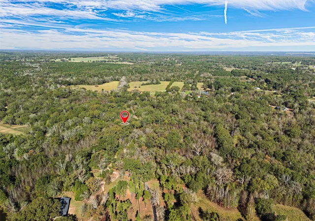 Homes for sale in Chandler, TX | Tbd Vz County Road 4815, Chandler, TX 75758 | MLS# 21189644