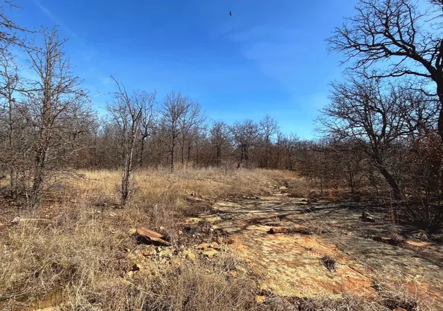 Photo 2 of Land for sale at 0000 Sunset Bay Pointe Ct, Chico, TX 76431 | MLS# 21189940 | Listing updated on 2026-08-17