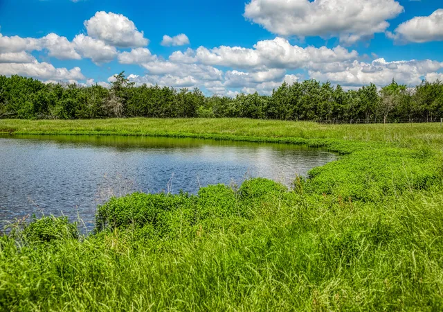 Photo 2 of Single family home for sale at 1850 Lcr 439, Mexia, TX 76667 | MLS# 21189931 | Listing updated on 2026-08-17
