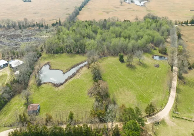 Homes for sale in Bogata, TX | Tbd County Road 1420, Bogata, TX 75417 | MLS# 21191196