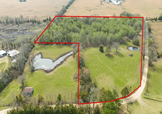 Homes for sale in Bogata, TX | Tbd County Road 1420, Bogata, TX 75417 | MLS# 21191196