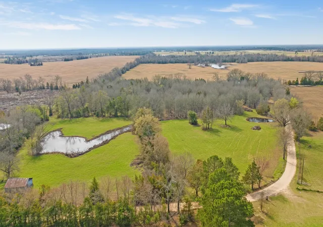 Homes for sale in Bogata, TX | Tbd County Road 1420, Bogata, TX 75417 | MLS# 21191196