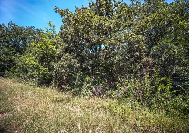 Homes for sale in Bridgeport, TX | Tbd Round Hill Wy, Bridgeport, TX 76426 | MLS# 21191579