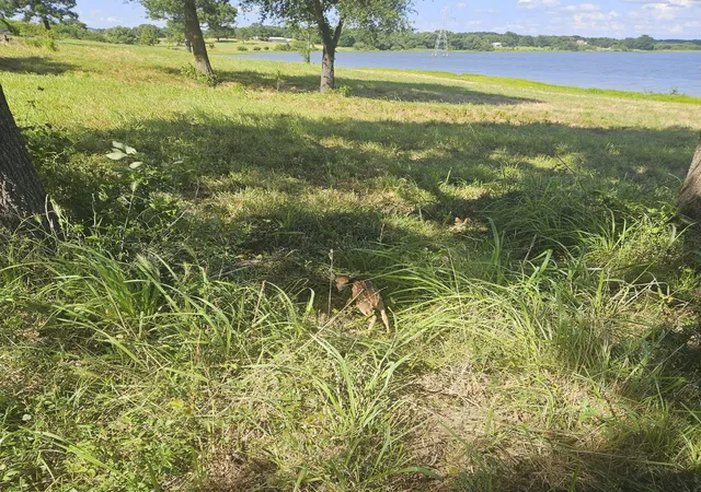 26th image of Lot 6 Private Road 7327, Emory, TX 75440 | MLS# 21191993