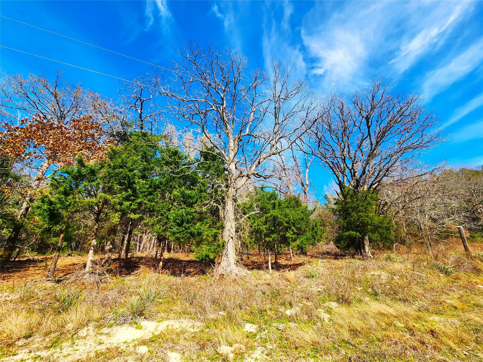Photo 1 of Land for sale at Lot 463 Us 175, Larue, TX 75770 | MLS# 21192238 | Listing updated on 2026-02-27