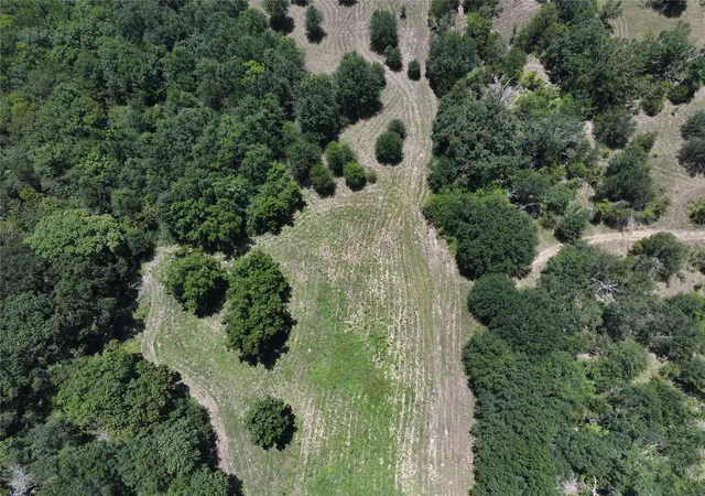 Photo 2 of Land for sale at 0 Co Rd 110, Kaufman, TX 75142 | MLS# 21191182 | Listing updated on 2026-09-30