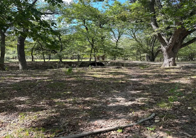 3rd image of 853 Cr 206, Bremond, TX 76629 | MLS# 21190710