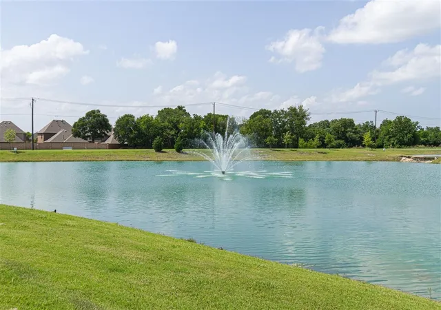 9th image of 905 Goldenwave Trl, Wylie, TX 75098 | MLS# 21193426