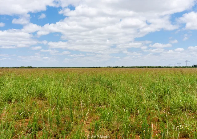 Homes for sale in Anson, TX | Tbd Ave Q Ave, Anson, TX 79501 | MLS# 21193645