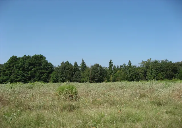 Photo 2 of Land for sale at 28901 County Road 2100, Kemp, TX 75143 | MLS# 21193982 | Listing updated on 2026-07-07