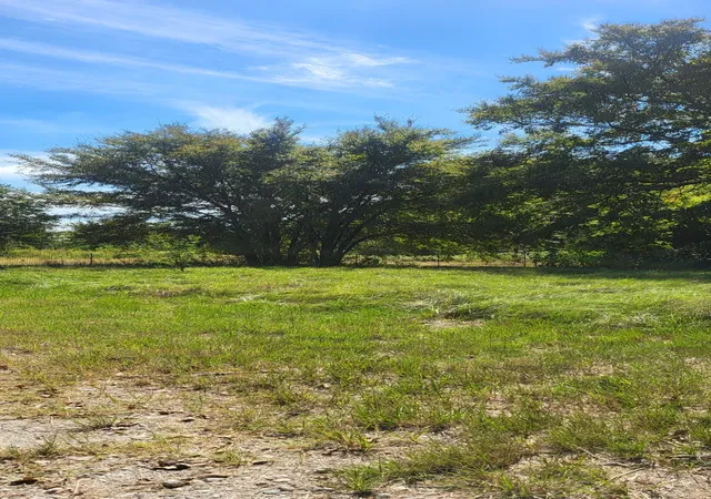 Photo 3 of Land for sale at 28901 County Road 2100, Kemp, TX 75143 | MLS# 21193982 | Listing updated on 2026-07-07