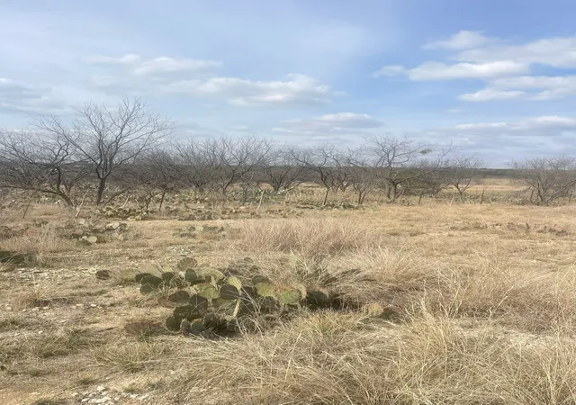 Homes for sale in Brookesmith, TX | Tbd County Road 221, Brookesmith, TX 76827 | MLS# 21193985