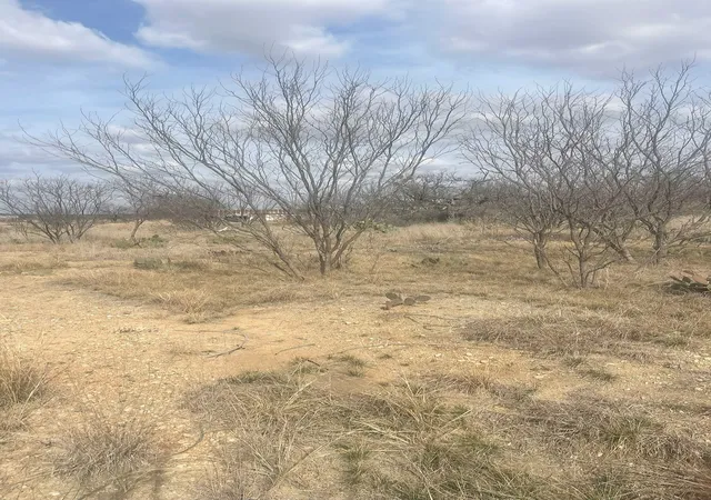Homes for sale in Brookesmith, TX | Tbd County Road 221, Brookesmith, TX 76827 | MLS# 21193985