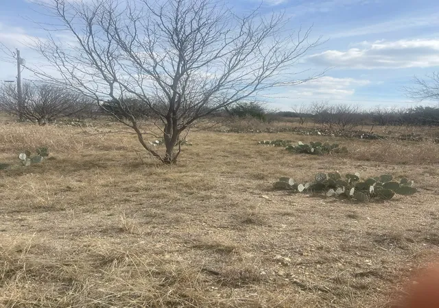 Homes for sale in Brookesmith, TX | Tbd County Road 221, Brookesmith, TX 76827 | MLS# 21193985