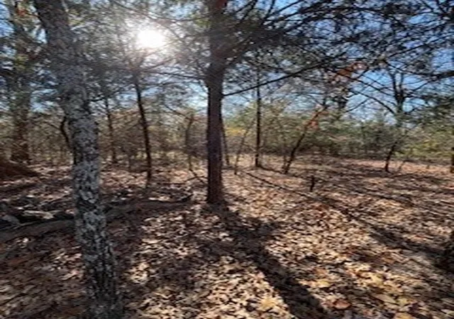 Photo 2 of Land for sale at Lot 15,16 Loper Dr, Streetman, TX 75859 | MLS# 21181754 | Listing updated on 2026-08-30
