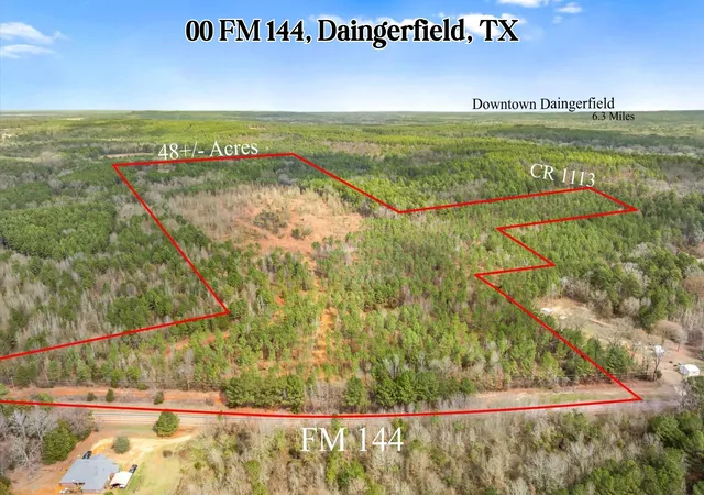 Homes for sale in Daingerfield, TX | 00 Fm 144, Daingerfield, TX 75638 | MLS# 21185941