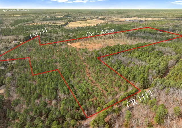 Homes for sale in Daingerfield, TX | 00 Fm-144, Daingerfield, TX 75638 | MLS# 21185941