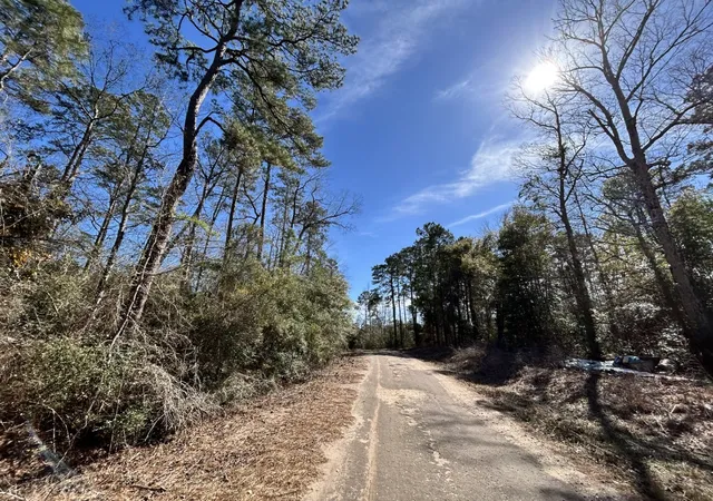 Homes for sale in Woodville, TX | Lot 35 N Friar Tuck Dr, Woodville, TX 75979 | MLS# 21194484