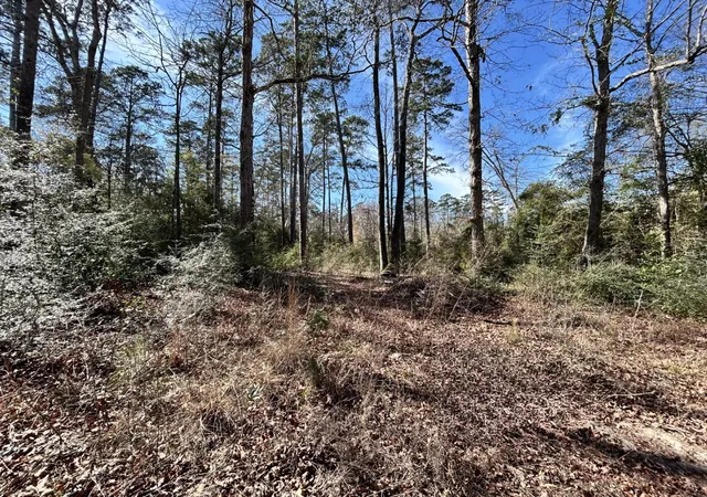 Homes for sale in Woodville, TX | Lot 35 N Friar Tuck Dr, Woodville, TX 75979 | MLS# 21194484